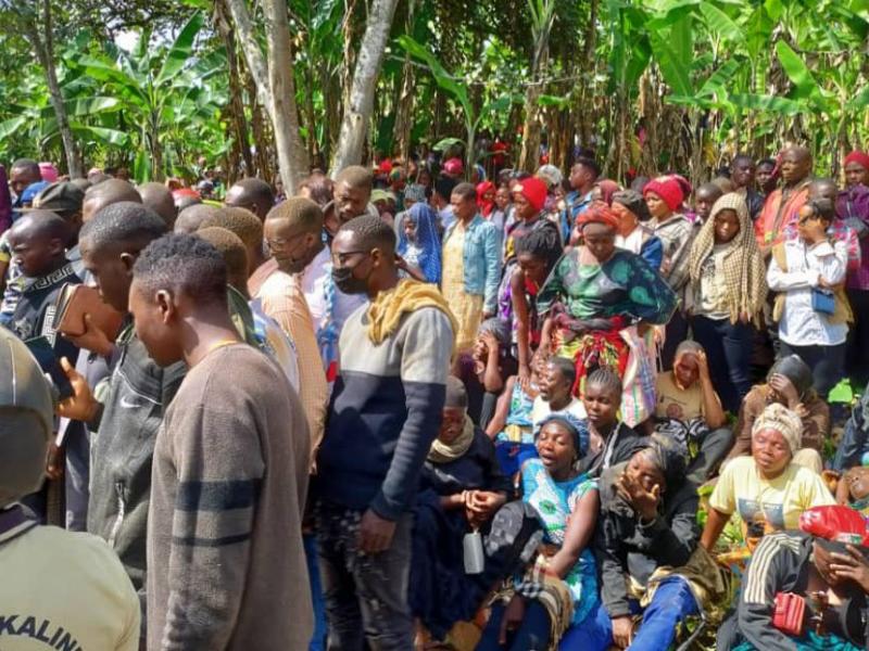 Image d'illustration 