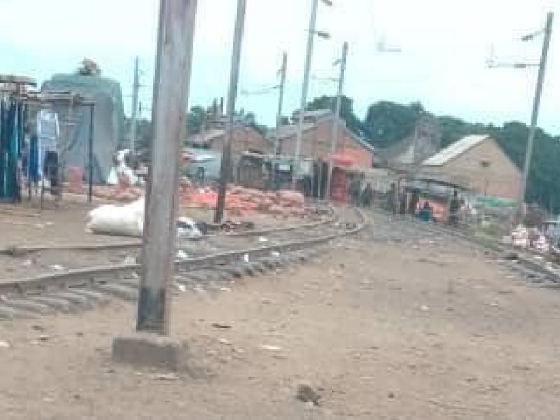 Image d'illustration 