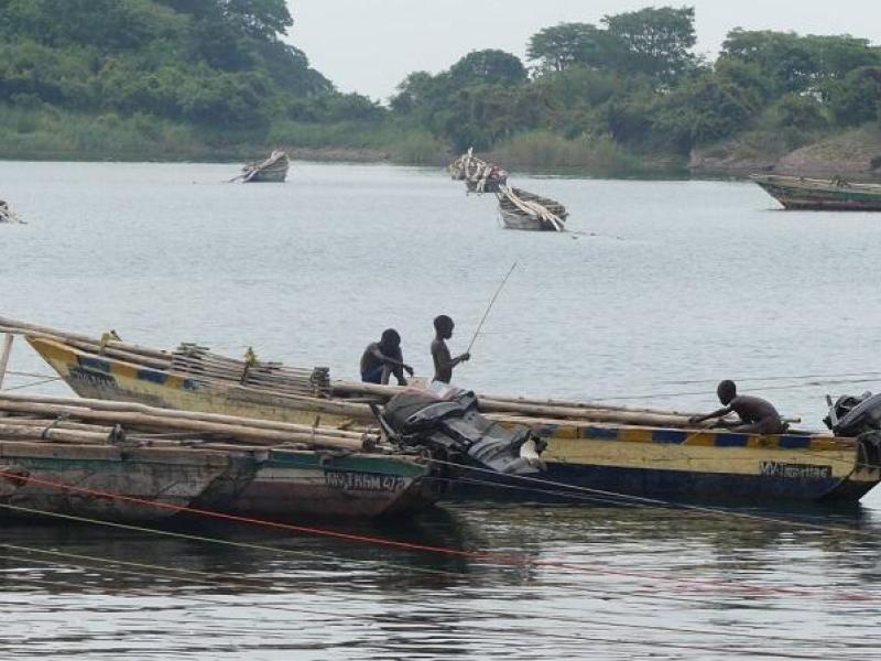 Image d'illustration 