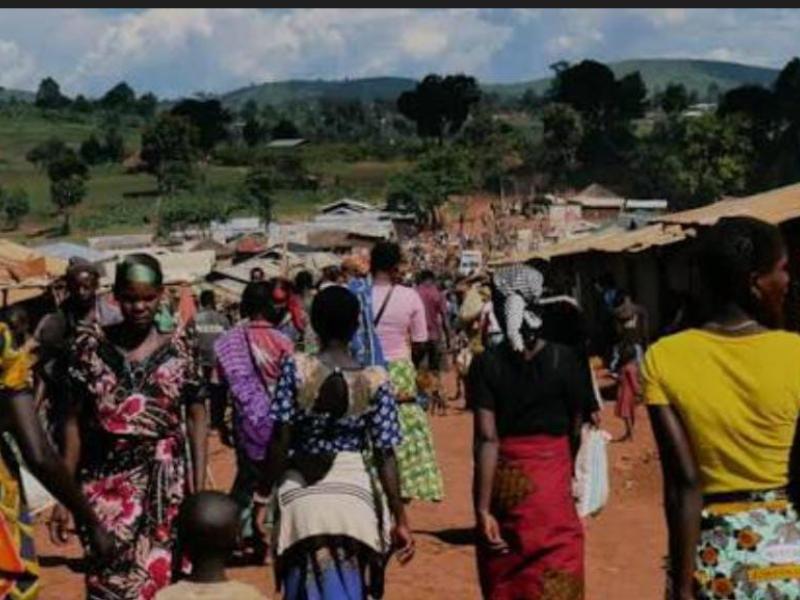 Image d'illustration 