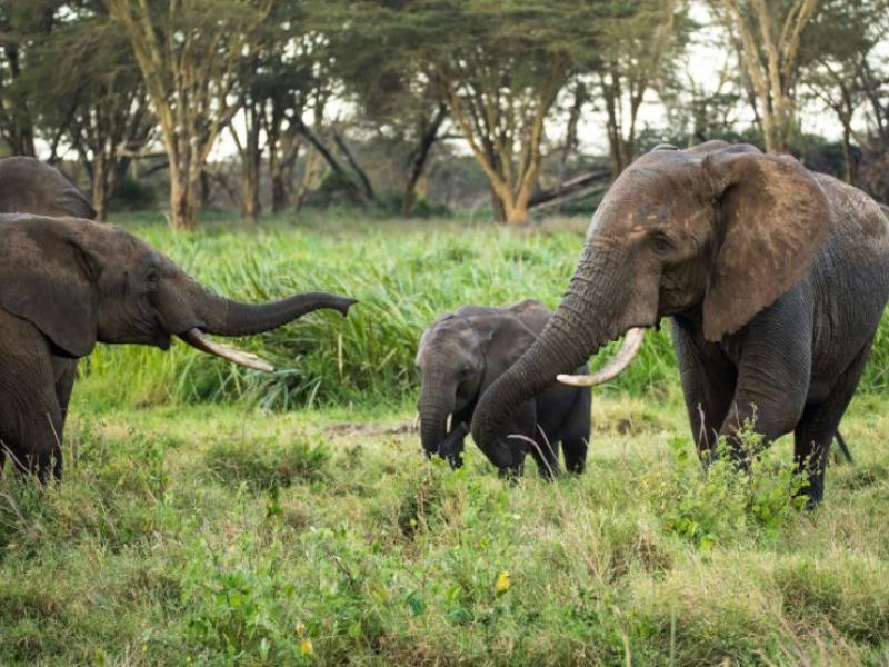 Image d'illustration 