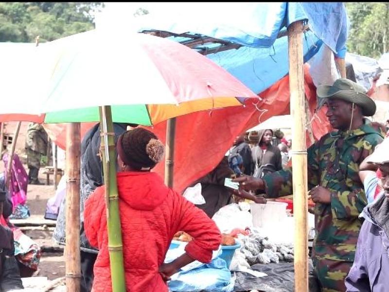 Image d'illustration 