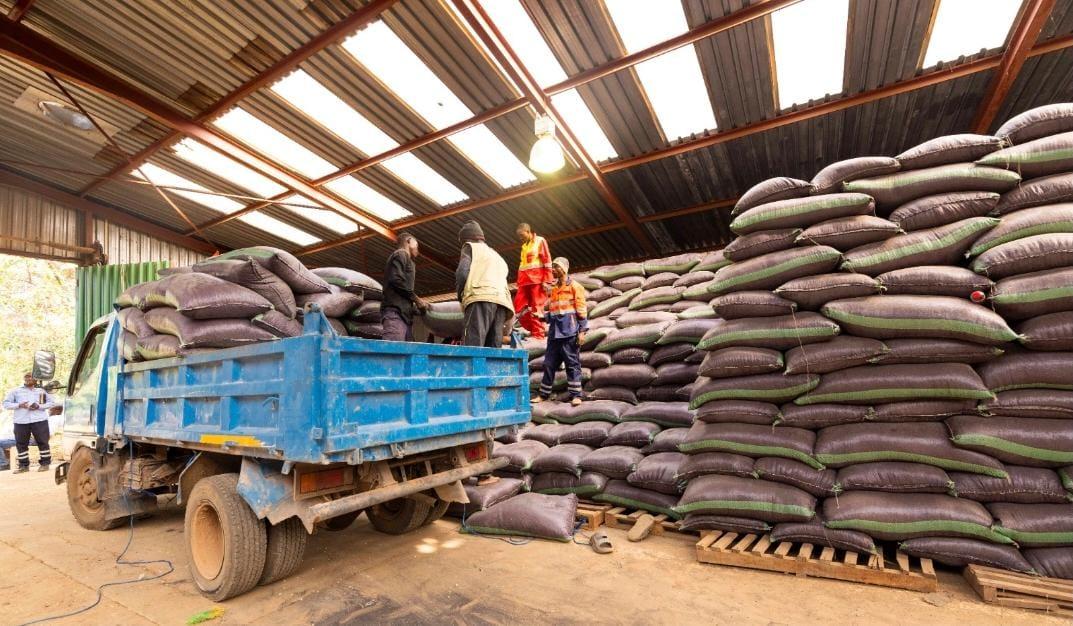 Image d'illustration 