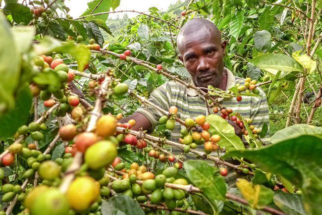 Image d'illustration 